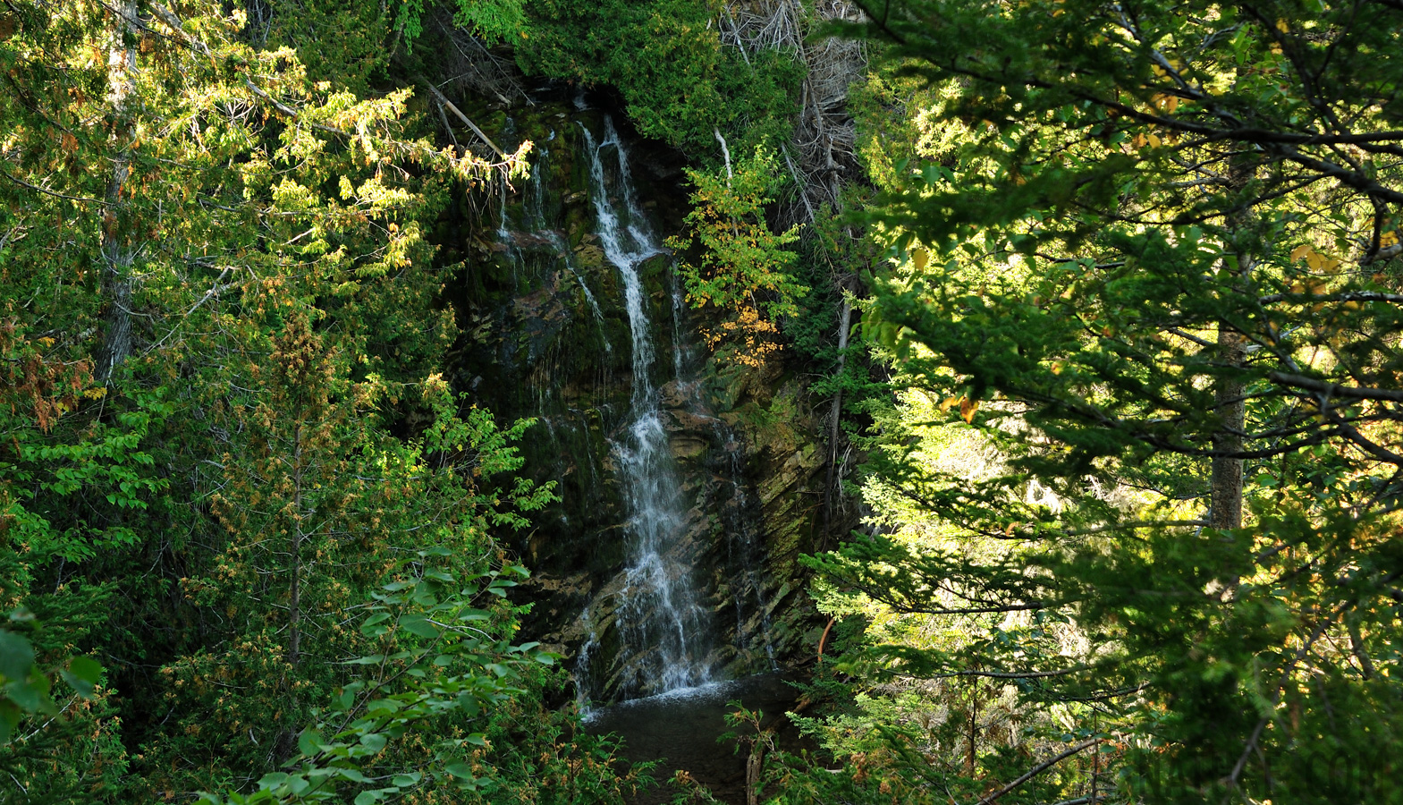 Parc National Forillon [72 mm, 1/60 sec at f / 8.0, ISO 400]